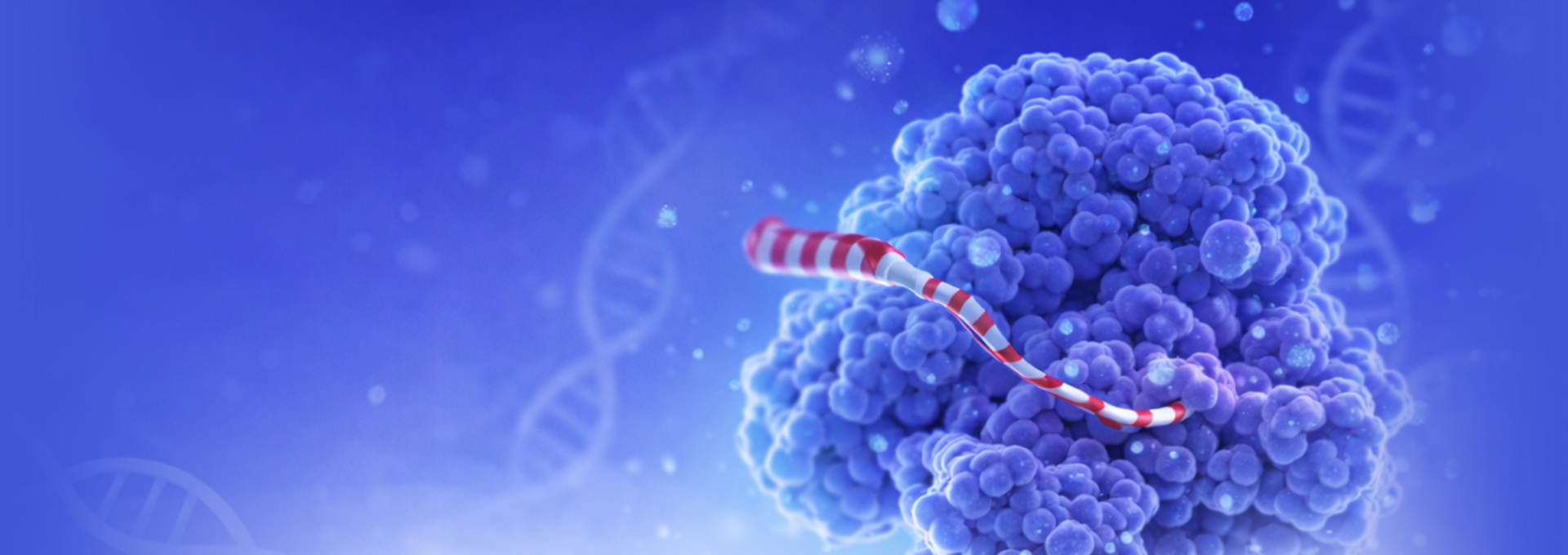 ribo seq,翻译组,polysome profiling,核糖体分析
