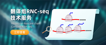 翻译组RNC-seq技术服务