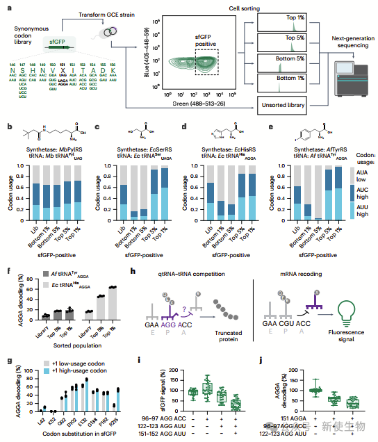 ribo seq